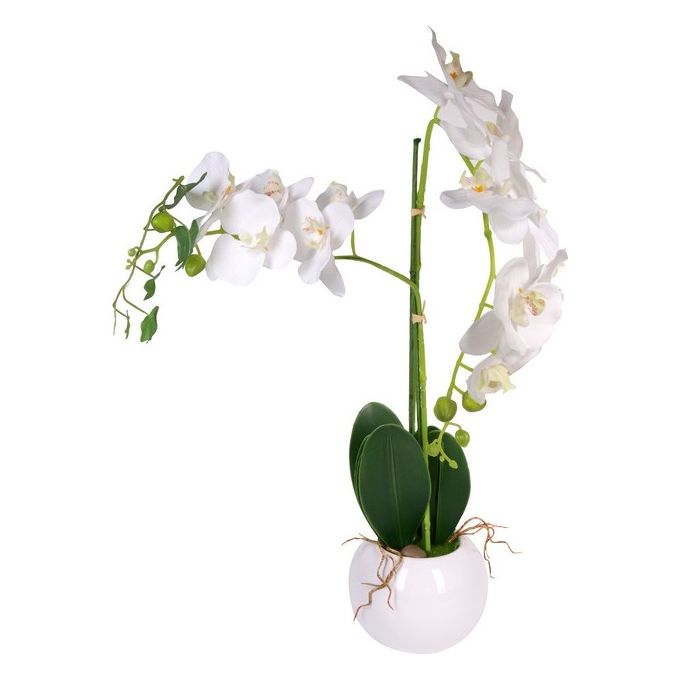 Orchidea con Due Rami in Vaso di Ceramica 40X70 cm Bianco