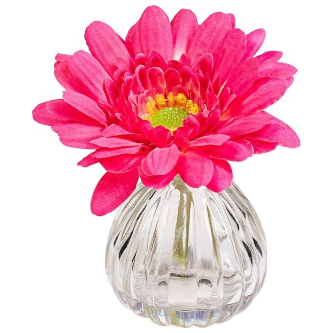 Gerbera in Vaso di Vetro 13X11 cm Fucsia
