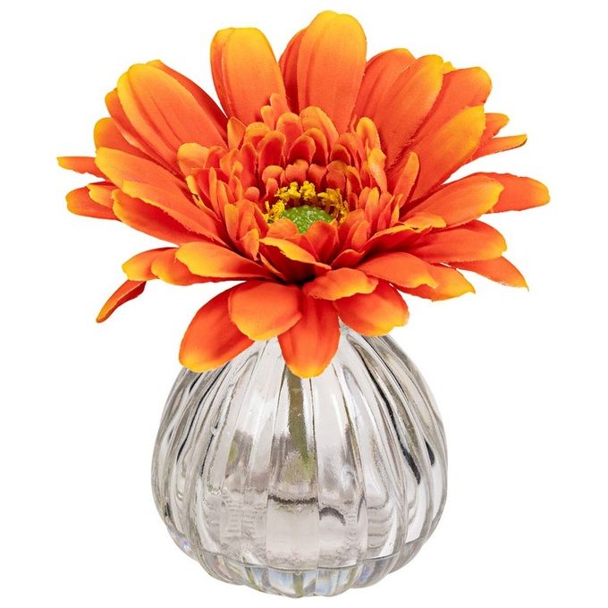 Gerbera in Vaso di Vetro 13X11 cm Arancio