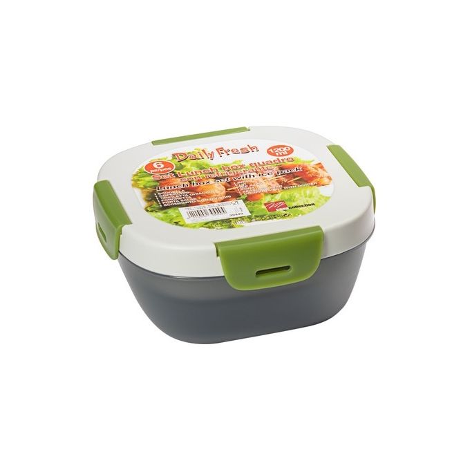 Set 6 Pezzi Lunch Box Quadrato con Refrigerante Daily Fresh