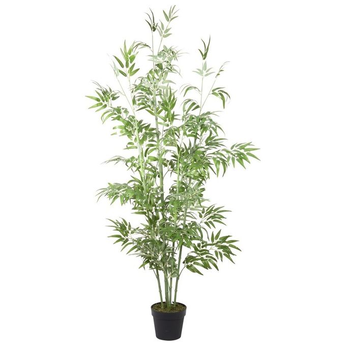 Bamboo artificiale in Vaso Nero 180 cm