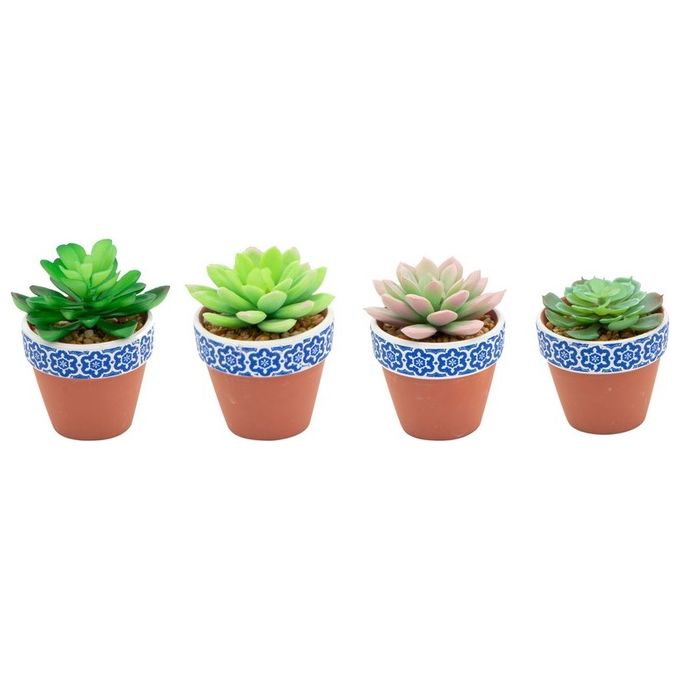 Succulenta con Vaso in Terracotta Decorato 4 Pezzi Colori Assortiti