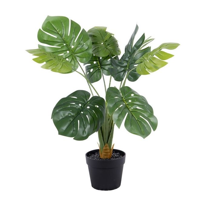 Monstera Artificiale in Vaso Nero 70 cm