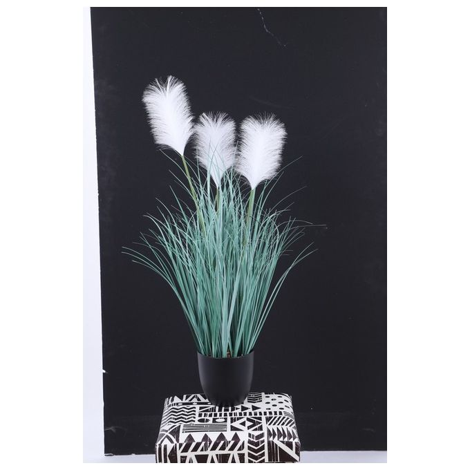 Pampas Artificiale Bianca in Vaso Nero