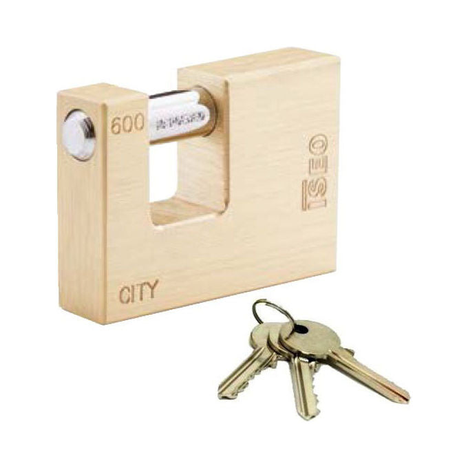 Iseo Lucchetto Ottone 55mm Serrande City