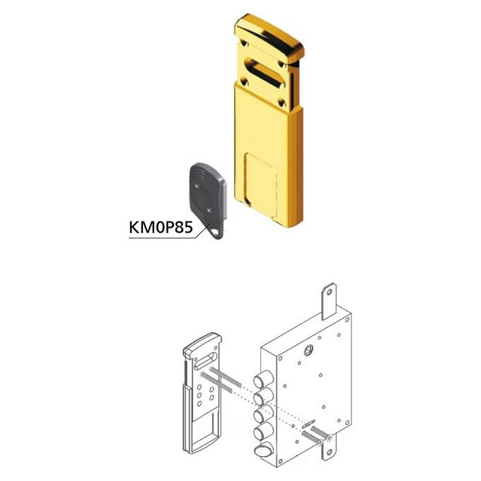 Disec Mg220Cs Protettore Applicare D.M Chiave Magnetica Misura 60 X 118 Profondita' Mm 15 Cromo Satinato