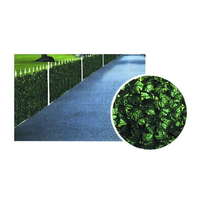 Il Campo Siepe Edera H 100 M 3 - 03473