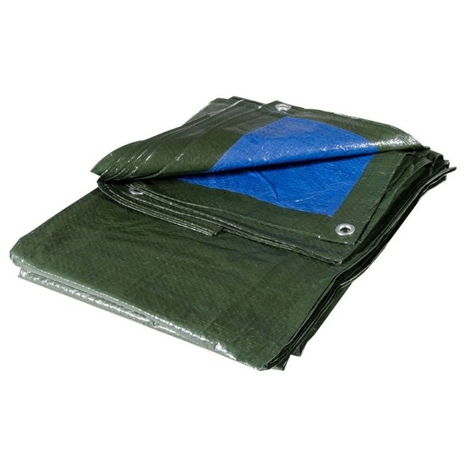 Gruppo Gieffe 18750 Telo Polietilene Colore Blu-Verde Metri 4X5