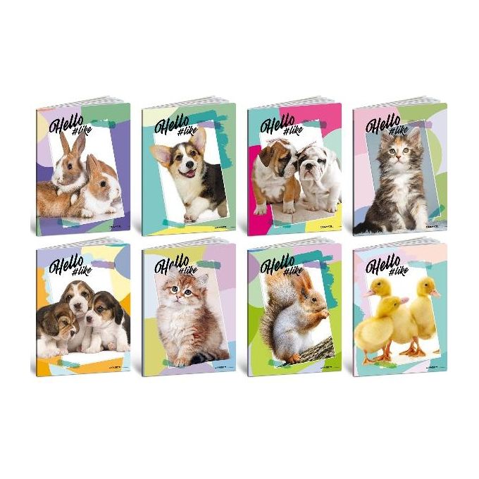 Blasetti Confezione 10 Quaderno Hello Pets 100Gr 24ff1 0A