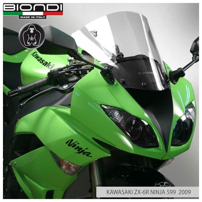 Biondi 8010288 Cupolino Kawasaki Ninja Zx 10R-08 Trasp