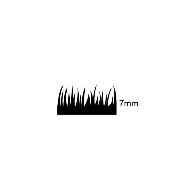 Evergreen Prato Sintetico 7 Mm 2X5 Mt EG48690