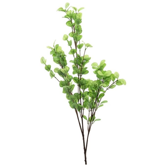 Ramo di Eucalipto in Plastica 76 cm Verde