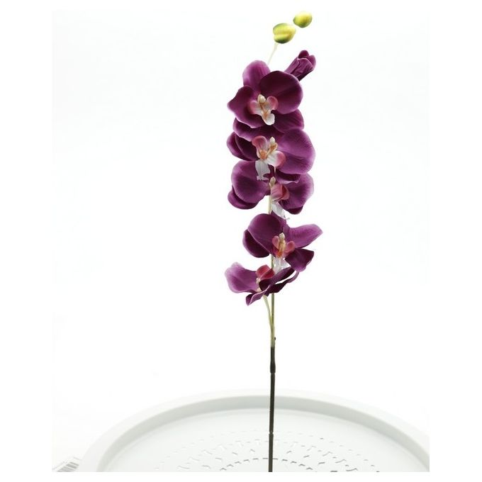 Orchidea in Plastica 81 cm Fucsia