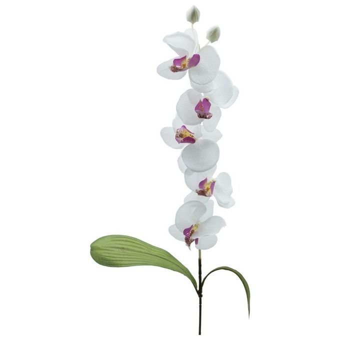 Orchidea in Plastica 74 cm Bianco