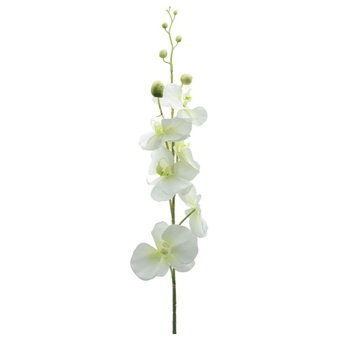 Orchidea in Plastica 90 cm Crema