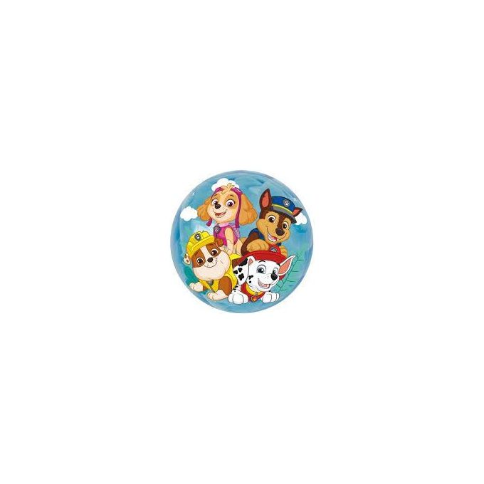 Ods Palla Paw Patrol Luminosa Assortito