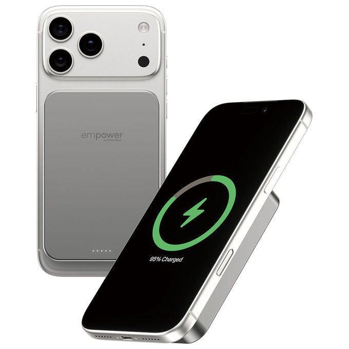 PanzerGlass EM77942 empower Bank Powerbank 10000 mAh USB-C Ricarica Wireless 15 W colore Titanio