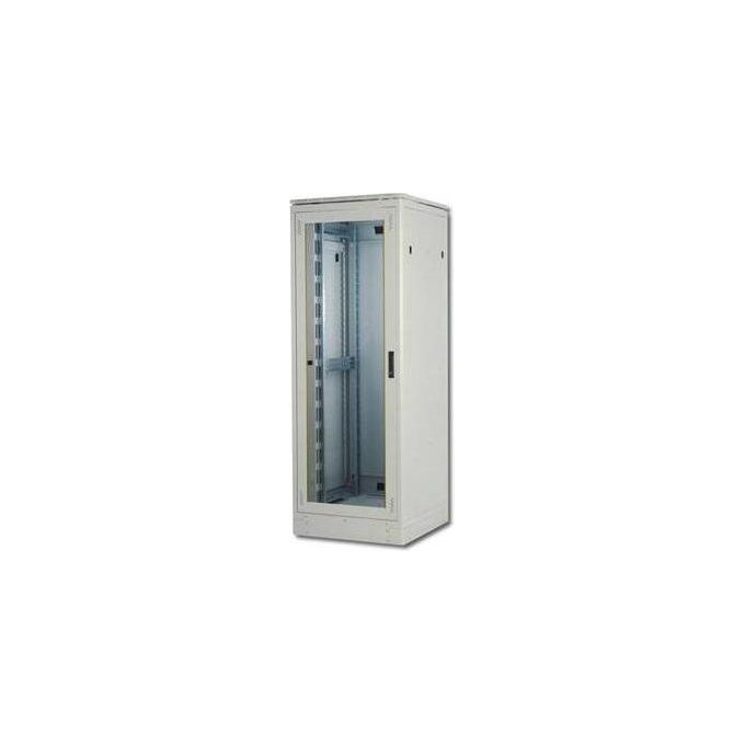 Digitus Armadio 22 Unita'  Da Pavimento Linea Professionale (A)1200 X (L)600 X (P)600 Mm. Colore Grigio Chiaro (Dn-19 22U-6-6)