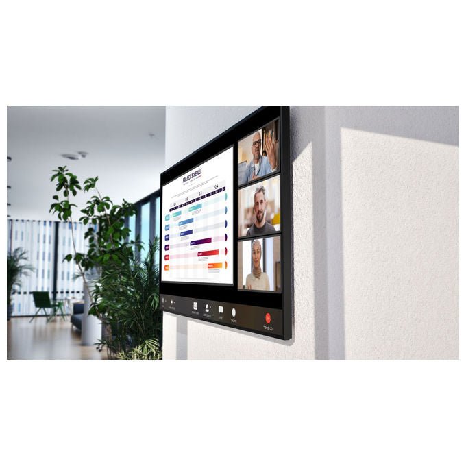 Sony FW-65BZ35P Display professionale 65'' 4K UHD 500 cd-m² IPS DBNG IP5X 24-7 colore Nero