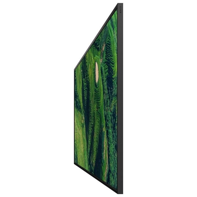 Sony FW-65BZ35P Display professionale 65'' 4K UHD 500 cd-m² IPS DBNG IP5X 24-7 colore Nero