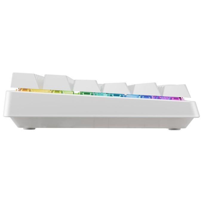 CHERRY XTRFY G8D-24030PAAPN-0 K33 Compact Wireless Tastiera Gaming 75% 84 tasti Wireless USB RF Bluetooth LED RGB Mem-chanical IP54 colore Bianco