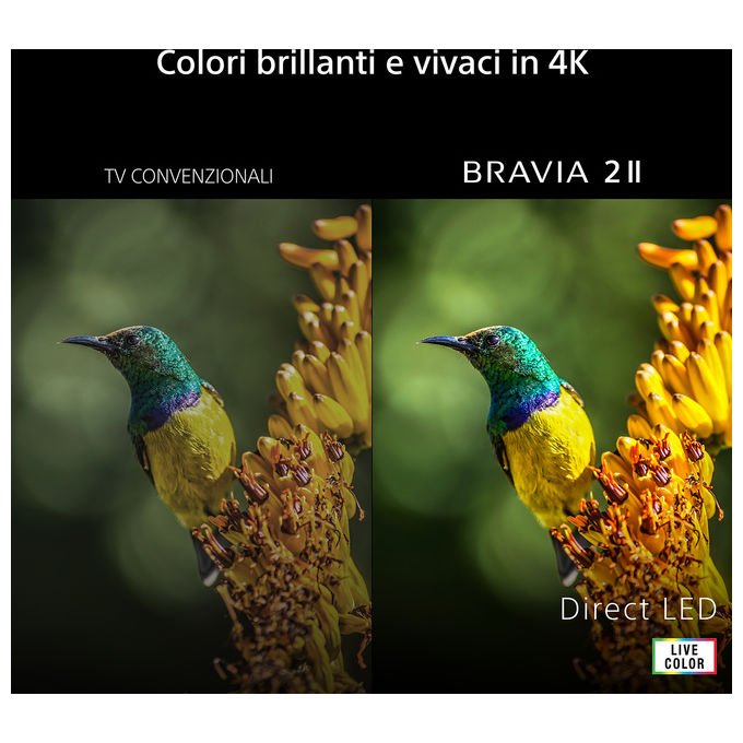 Sony K-65S25M2 BRAVIA 2 II TV 4K Ultra HD Direct-LED Google TV colore Nero