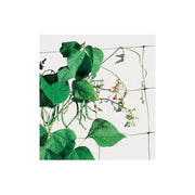 Tenax Rete Plastica Flora Mt 2,00X 20