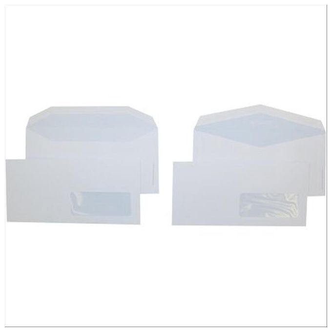 Pigna Cf500buste Office Strip S Fin 11x23