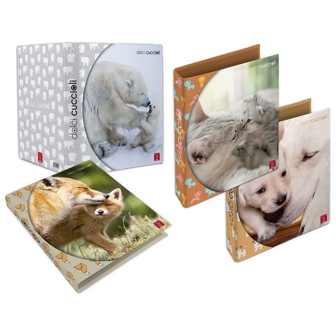 Pigna Confezione 5 Raccoglitori ad Anelli A4 27x32cm