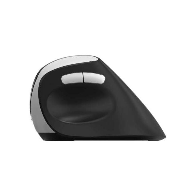 Rapoo 13531 EV250 WIRELESS ERGONOMIC MOUSE Mouse Wireless Ergonomico 1600 DPI colore Nero