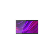 ALOGIC 32A4KPDTMSGR Monitor PC 32'' 4K Ultra HD LED IPS Touch Screen 10 punti 3840 x 2160 Pixel Grigio