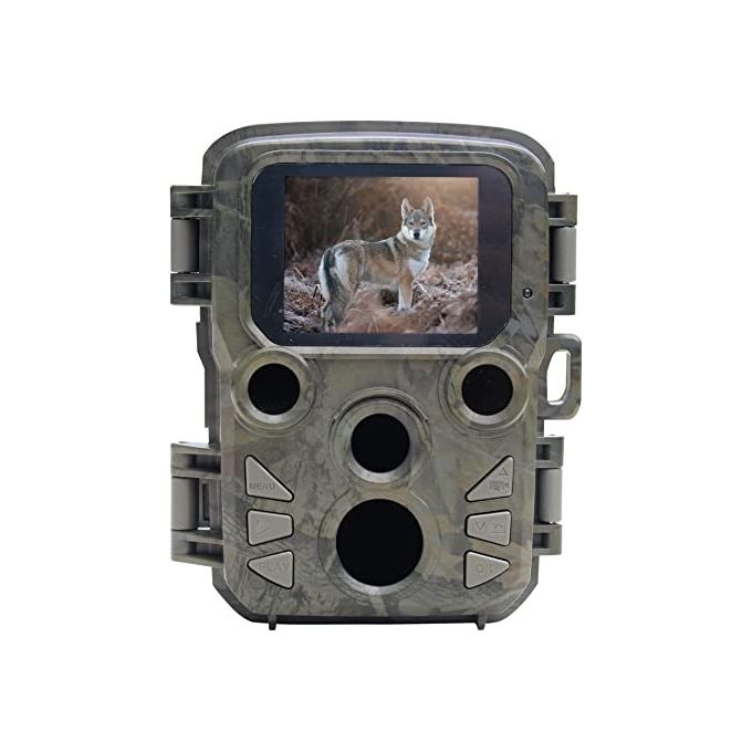 Braun Scouting Cam Black800 Mini