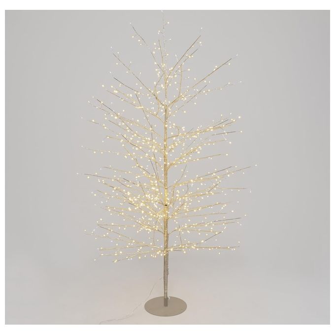 Lotti Albero di Natale Lotti Tiglio con 784 MicroLed Champagne