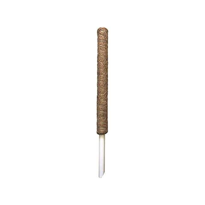 Vigor Tutore Muschiato per Rampicanti Diametro 5cm Altezza 60cm