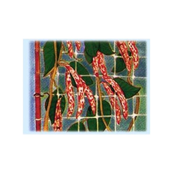 Reti Ortofrutta In Nylon Sostengreen