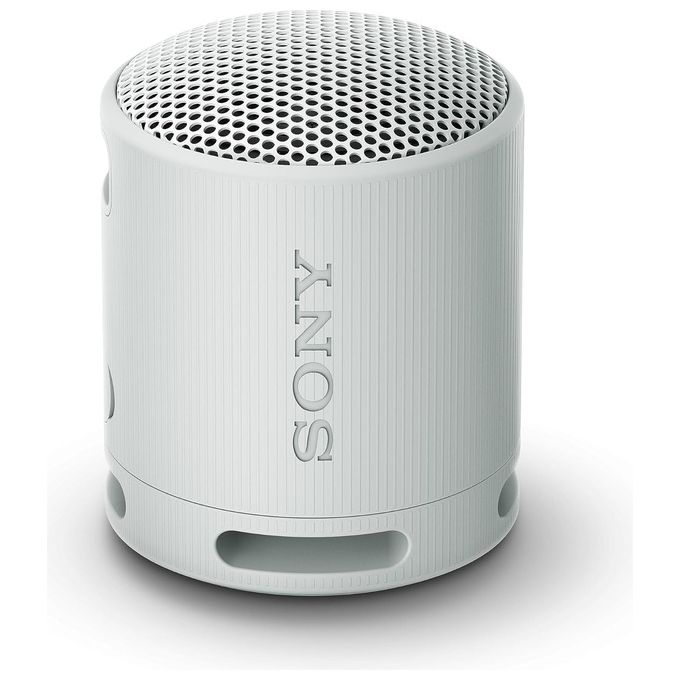 SONY SRS-XB100 Speaker Wireless Bluetooth Portatile IP67 Impermeabile e Antipolvere con Batteria da 16 Ore e Cinturino Grigio