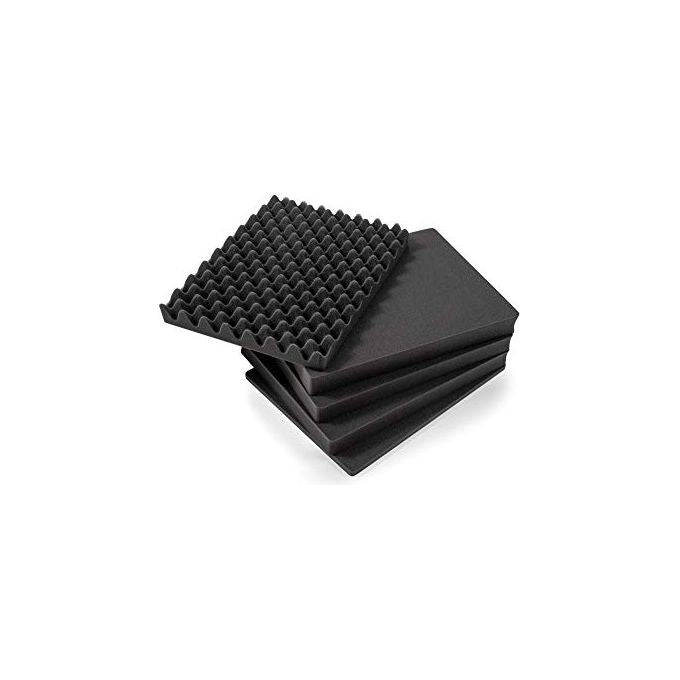 BeW Inserto in Spugna per Valigetta Outdoor Case Tipo 4000