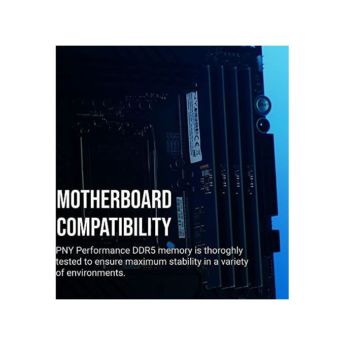 PNY PERFORMANCE DDR5 16GB 4800 MHz DIMM Modulo RAM per computer desktop CL40 1.1V Nero