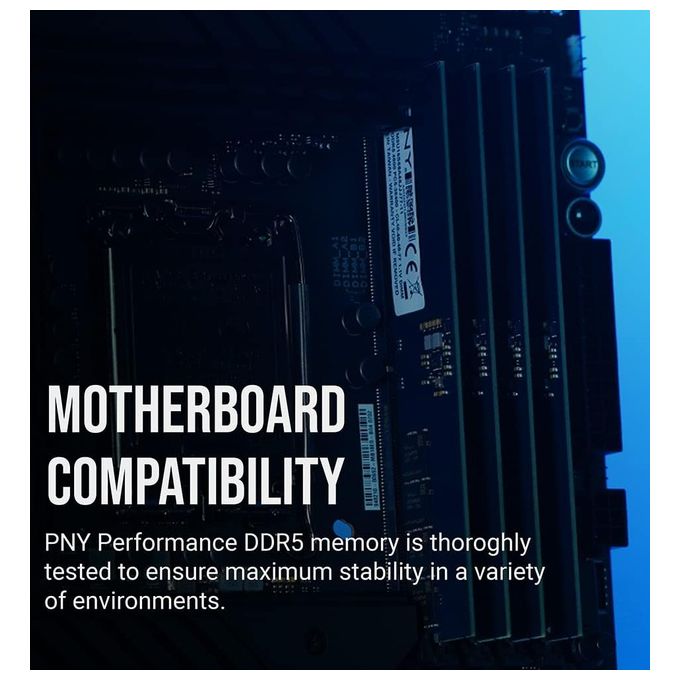 PNY PERFORMANCE DDR5 8GB 4800 MHz DIMM Modulo RAM per computer desktop CL40 1.1V