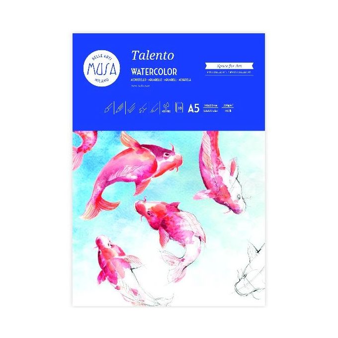 Cwr Blocchi Disegno Talento 300gr