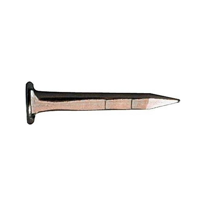 Semenze Acciaio 2 Leoni Tp Gambo Quadro Kg. 1 mm. 8