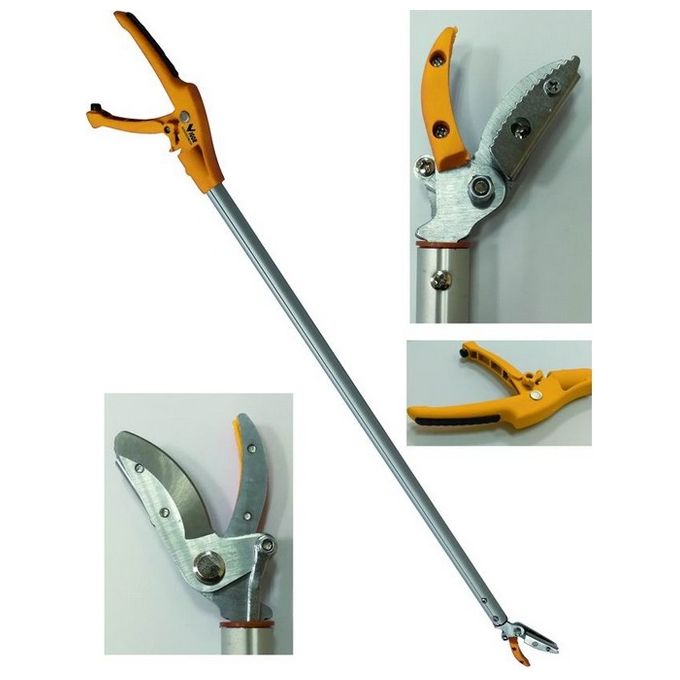 Vigor 7060230 Cogliasparagi Lama Acciaio Manganese Argento