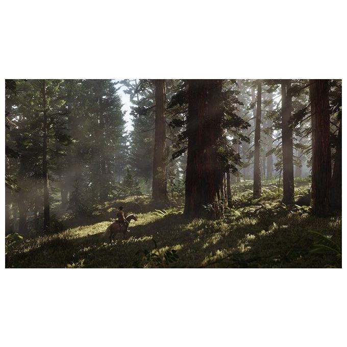 Red Dead Redemption 2 Xbox One