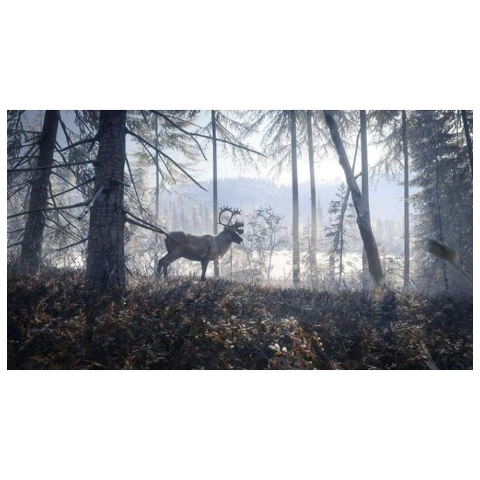 The Hunter Call of the Wild Xbox One
