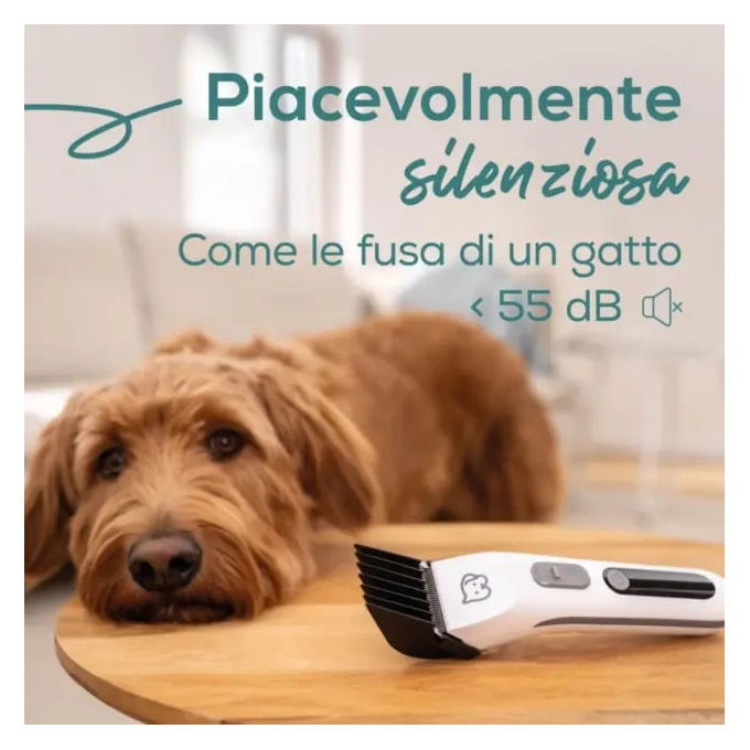 Beurer PP 110 Fluffy Rasoio per PET con lama larga in acciaio inox motore potente e silenzioso incl. 4 accessori pettine forbici pettine borsina olio e spazzola per la pulizia