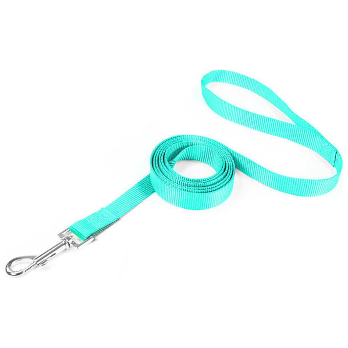 Record Guinzaglio per cani in nylon Basic XXS - 1 cm-Lunghezza 100 cm Acquamarina