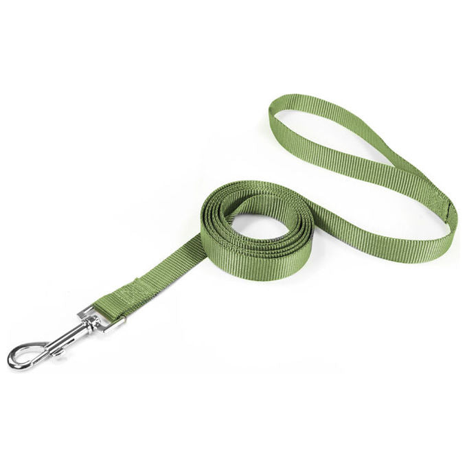 Record Guinzaglio per cani in nylon Basic XXS - 1 cm-Lunghezza 100 cm Verde