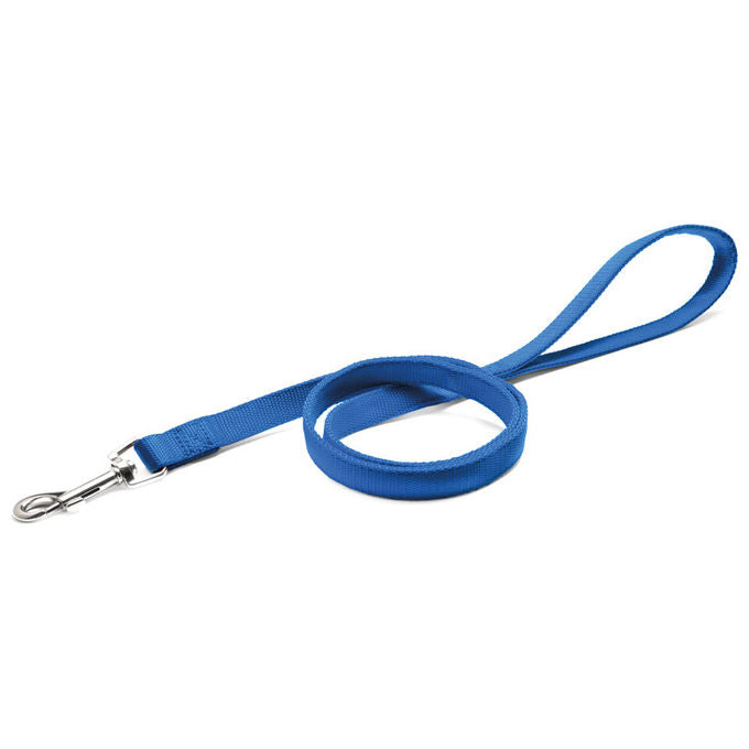 Record Guinzaglio per cani in Nylon a doppio strato S - 1,9 cm-Lunghezza 100 cm Blu