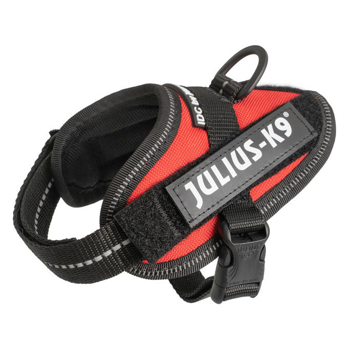 Julius-K9 Pettorina per cani IDC Powerharness Tg. Baby 1 3XS - Tg. Baby 1 (Circonferenza 29-36 cm Peso 0,8-3 Kg) Rosso