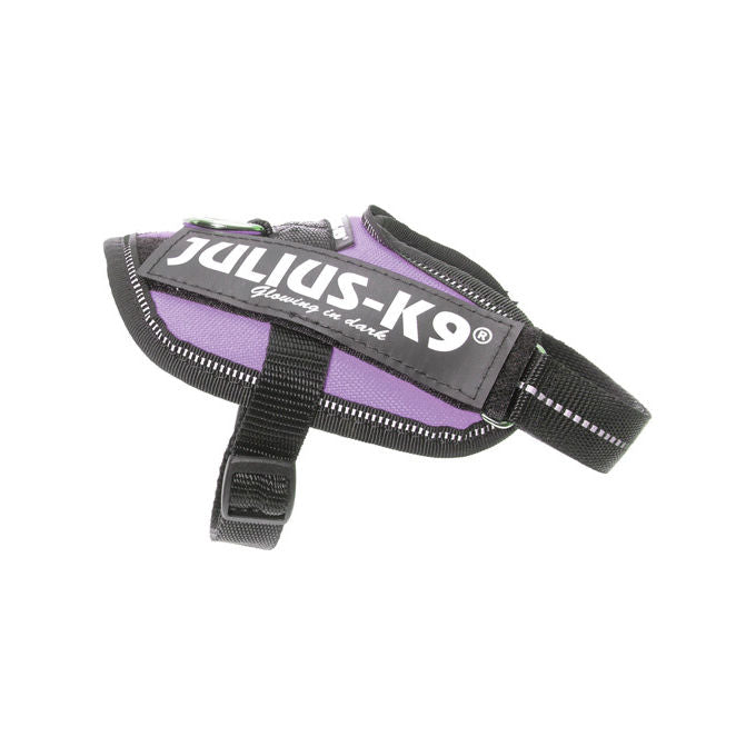 Julius-K9 Pettorina per cani IDC Powerharness Tg. Baby 2 2XS - Tg. Baby 2 (Circonferenza 33-45 cm Peso 2-5 Kg) Viola